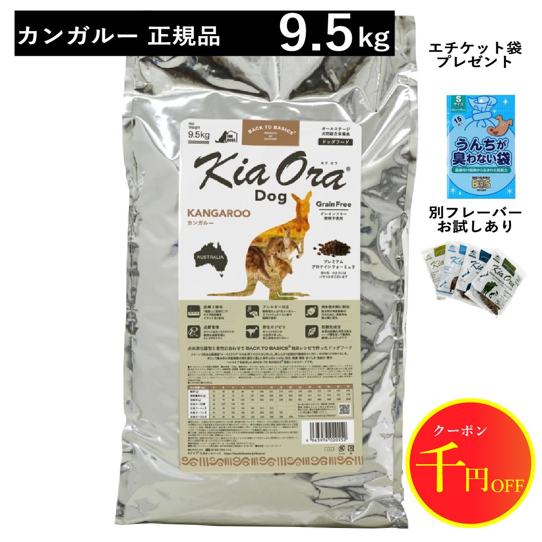 楽天市場】＼P10倍 + 1000円OFFクーポン／【R6.5.8以降 賞味期限