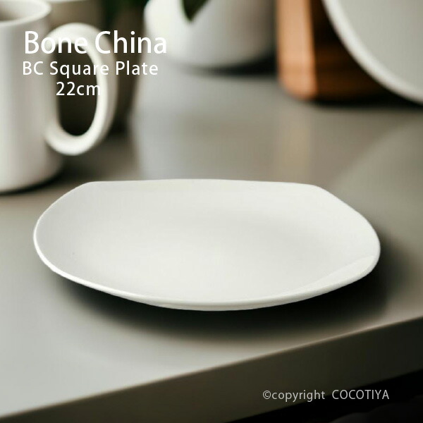 楽天市場】ボーンチャイナ BC ベーカー 25cm 楕円皿 楕円型 大皿 割れ