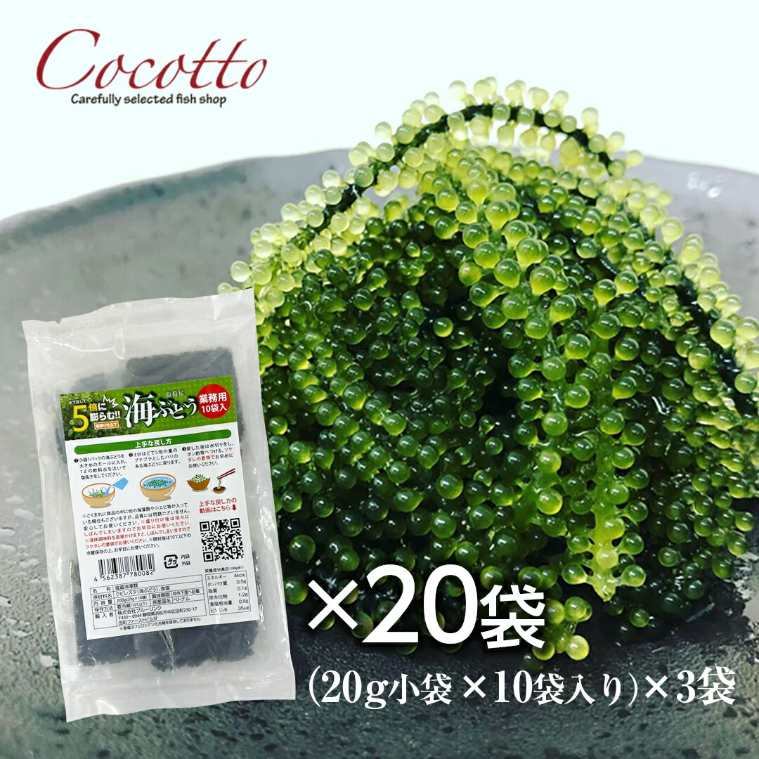 海ぶどう業務用 g 10袋 パック ベトナム産 お取り寄せグルメ 海鮮 長期保存可能 飲食店 塩造り 無農薬 沖縄料理 低カロリー 食材 激安通販の