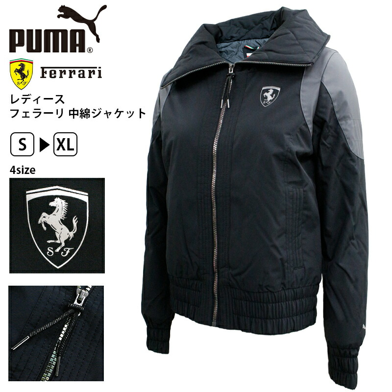 puma-567993.jpg