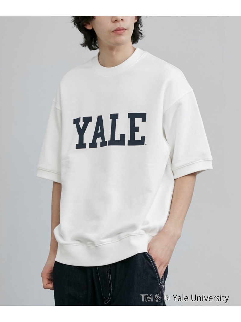 楽天市場】YALE イェール Over-Sized College T-Shirt ビッグ