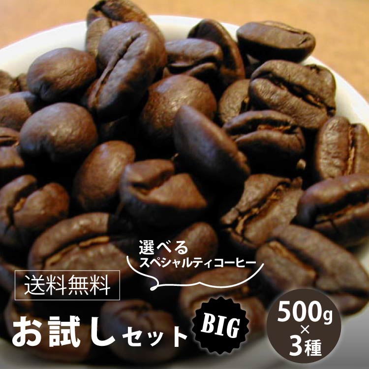 楽天市場】【送料無料 コーヒー豆】お試しセット□BIG 1.5kg