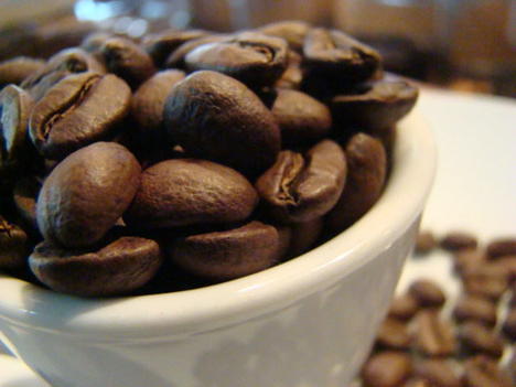 楽天市場】224℃ダークローストブレンド 200g -224℃ Dark Roast Blend