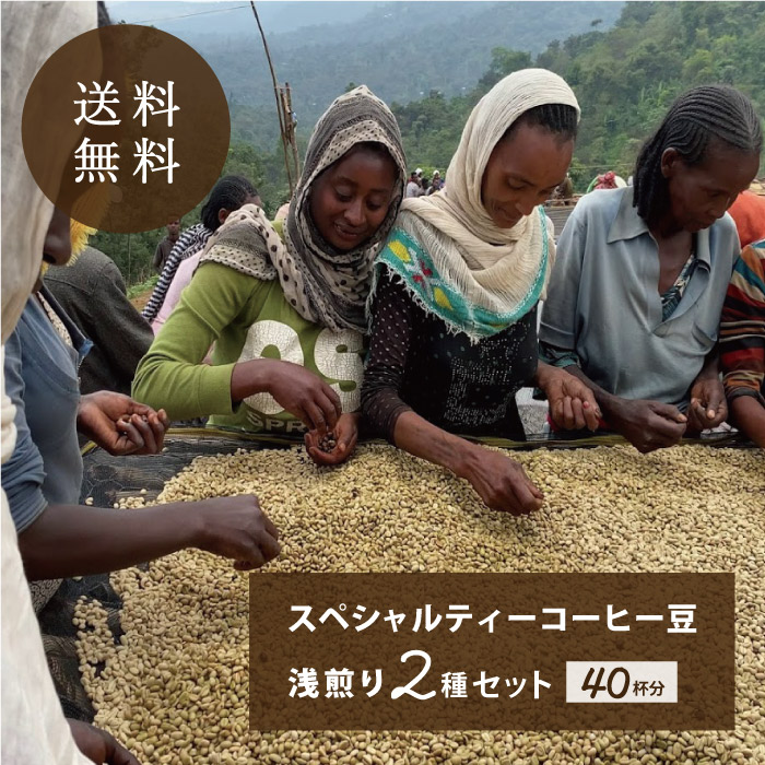 楽天市場】生豆 3種類の詰め合わせ200g×3種類 : 【旬の