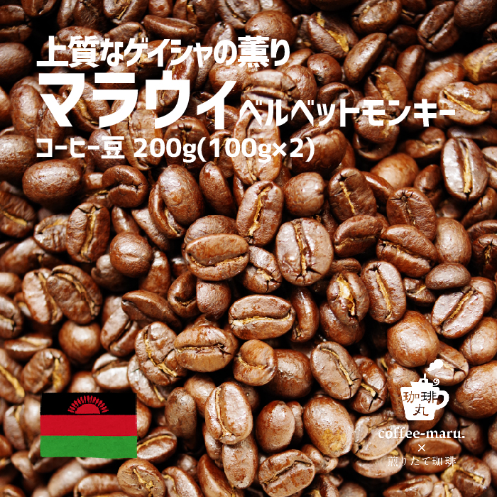 苺香る ストロベリー ゲイシャ ピンクベリー 自家焙煎 コーヒー 咖啡コーヒー豆