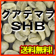 コーヒー 生豆 グアテマラ SHB ２０ｋｇ 送料無料 (5kgx4)