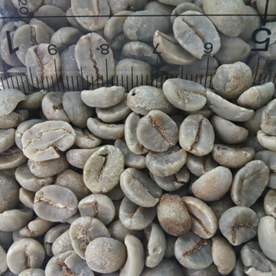 楽天市場】コーヒー 生豆 ブラジル サントス No.2 / SC-18 20kg 送料