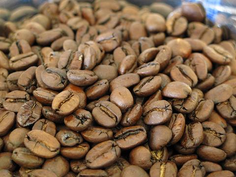 送料無料 ブラジル 500g コーヒー豆 ナッツのような、甘く香ばしい華やかな香り！ ブラジル・サントス・No.2・スクリーン18M 中煎り コーヒー 珈琲豆 粉 業務用 アラビカ豆 内祝い 母の日ギフト2026 花以外 男性 グルメ コーヒー粉 こーひー豆
