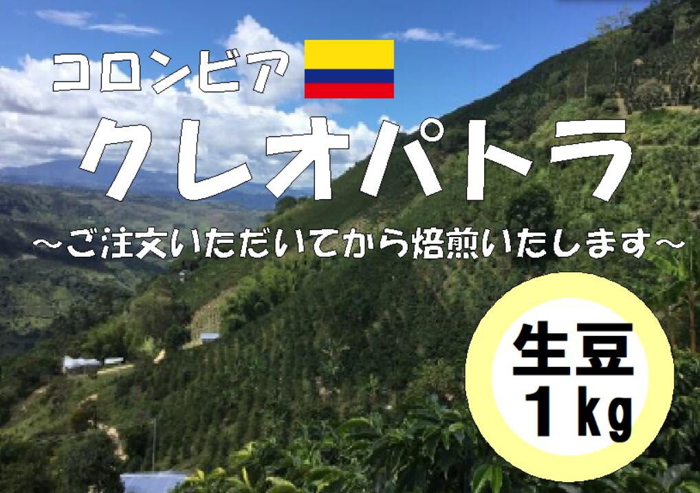 コーヒー豆　業務用　大容量　送料無料　コロンビア　クレオパトラ　生豆　１ｋｇ｜コーヒーロースト店