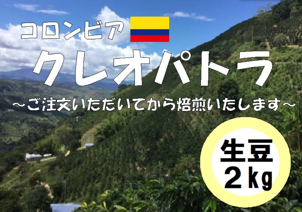 コーヒー豆　業務用　大容量　送料無料　コロンビア　クレオパトラ　生豆　２ｋｇ