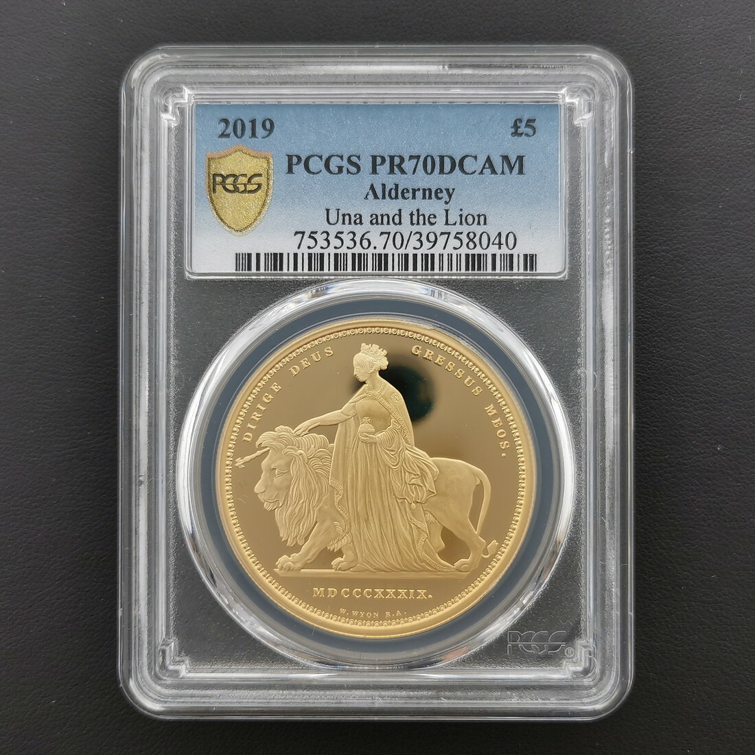 【新品】NGC PCGS コレクターボックス コイン 金貨 銀貨 黒 1枚 yko-storeyk_ky1211