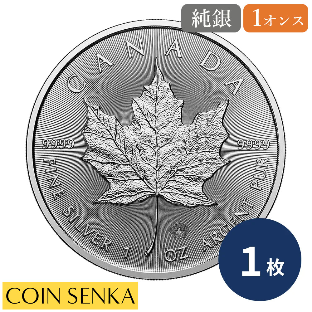 楽天市場】☆即納追跡可☆ 中国 2026 パンダ 10元 30グラム 銀貨 【1枚