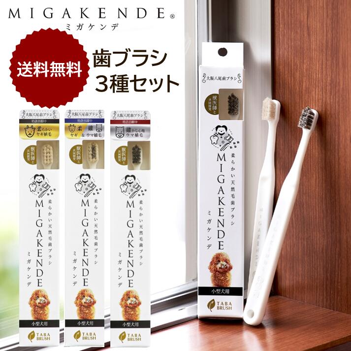 今年の新作から定番まで！ 猫用歯ブラシ