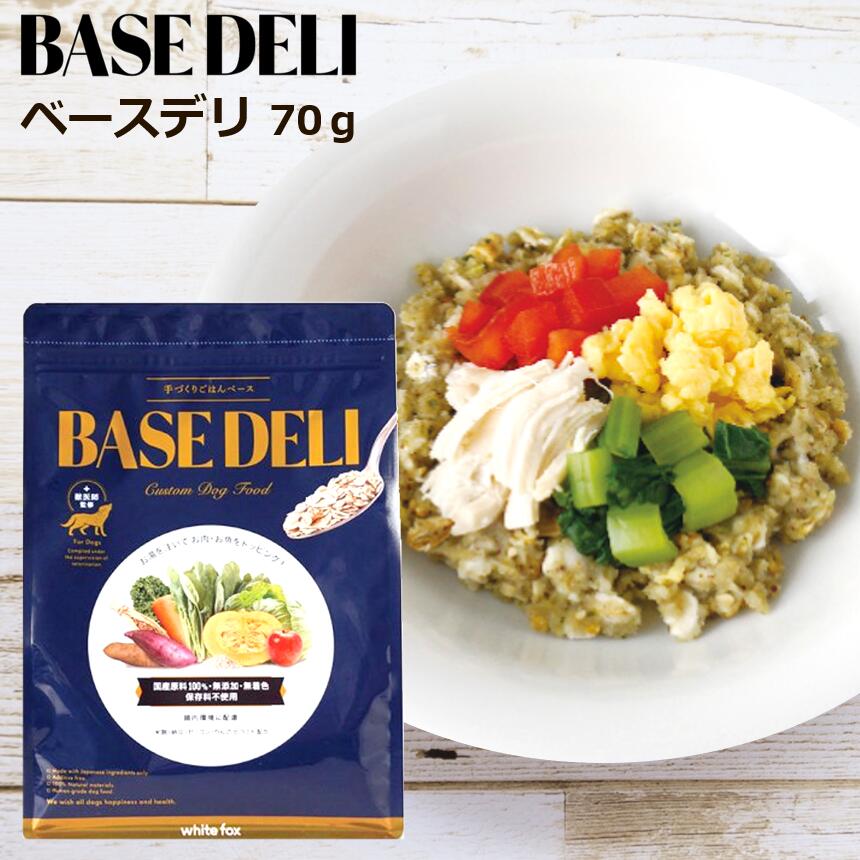 在庫一掃セール【２袋セット】ベースデリ　ソイミルク　500ｇ×２袋 愛犬用》手づくりごはんベース BASE DELI SOY MILK - 無添加