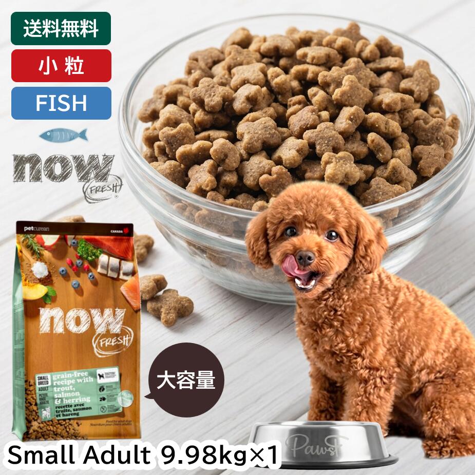 ナウフレッシュ ドッグフード フィッシュ スモール スモールブリード 小粒 超小粒 小型 成犬 小型犬 犬 アダルト アダルトドッグフード ドライ ドライフード ドッグ フード 総合栄養食 グレインフリー (9.98kg) NOW Fresh small breed fish adulte grain-free|CoKo犬と猫のご飯やさん