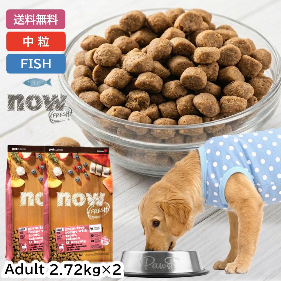 ナウフレッシュ 中粒 レギュラー粒 犬 ドッグフード ドライ フィッシュアダルト フィッシュ 魚 アダルト アダルトドッグフード 成犬 中型犬 大型犬 犬 ドッグ フード 総合栄養食 グレインフリー (2.72kg×2個セット) NOW Fresh fish adulte grain-free