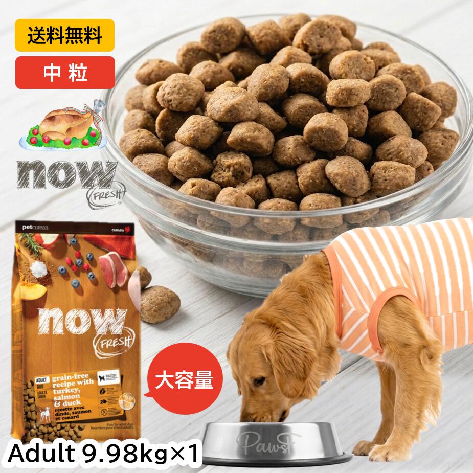 押さえる大売り出し！引き換え証でさらにお得♪