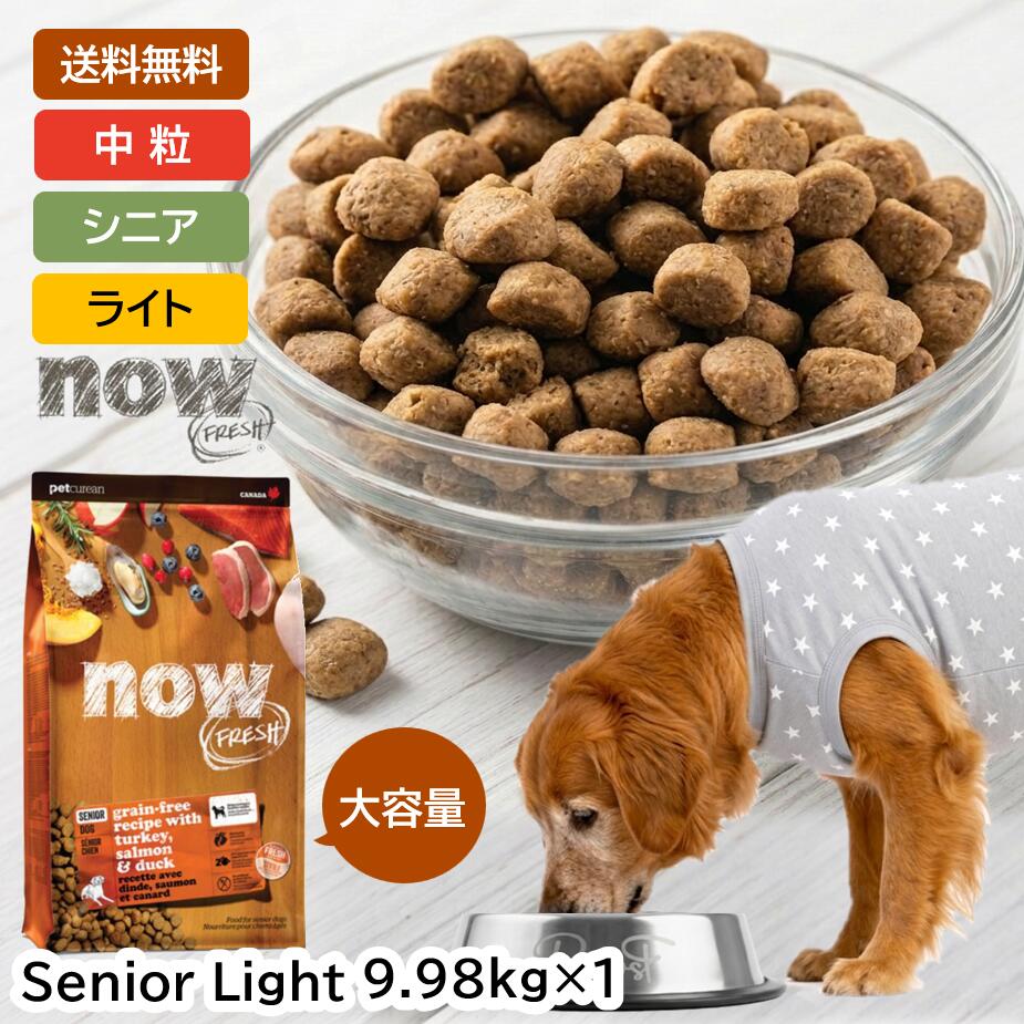 押さえる大売り出し！引き換え証でさらにお得♪