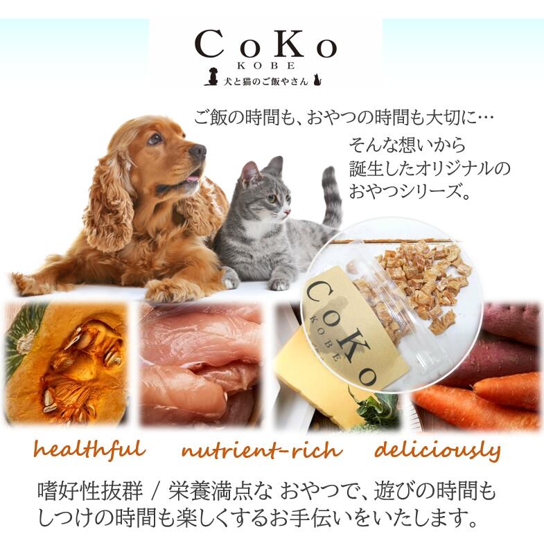 送料無料 犬 ご飯 野菜 トッピングからスタート 手作りご飯 食材セット 8種 Topping For Dogs Rent2paros Gr