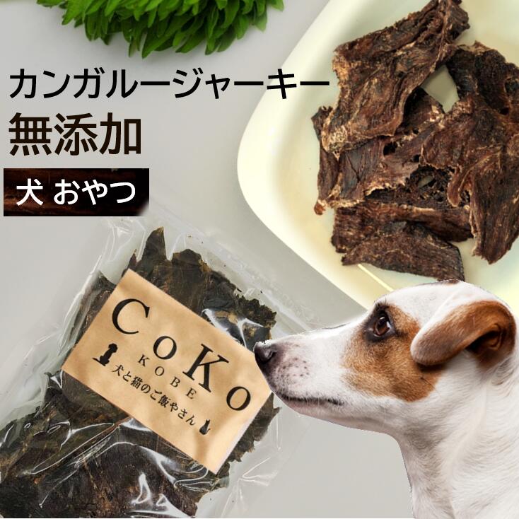 犬 おやつ カンガルージャーキー 40g Coko犬と猫のご飯やさん 小型犬 中型犬 子犬 シニア犬 トリーツ トレーニング ご褒美 トッピング ドッグ ここいぬ 週間売れ筋