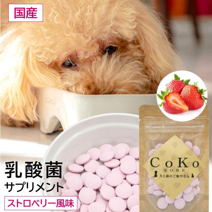 【楽天市場】犬 乳酸菌 国産 無添加 サプリ 乳酸菌サプリメント CoKoオリジナル サプリメント 乳酸菌 ストロベリー 国産 (30g