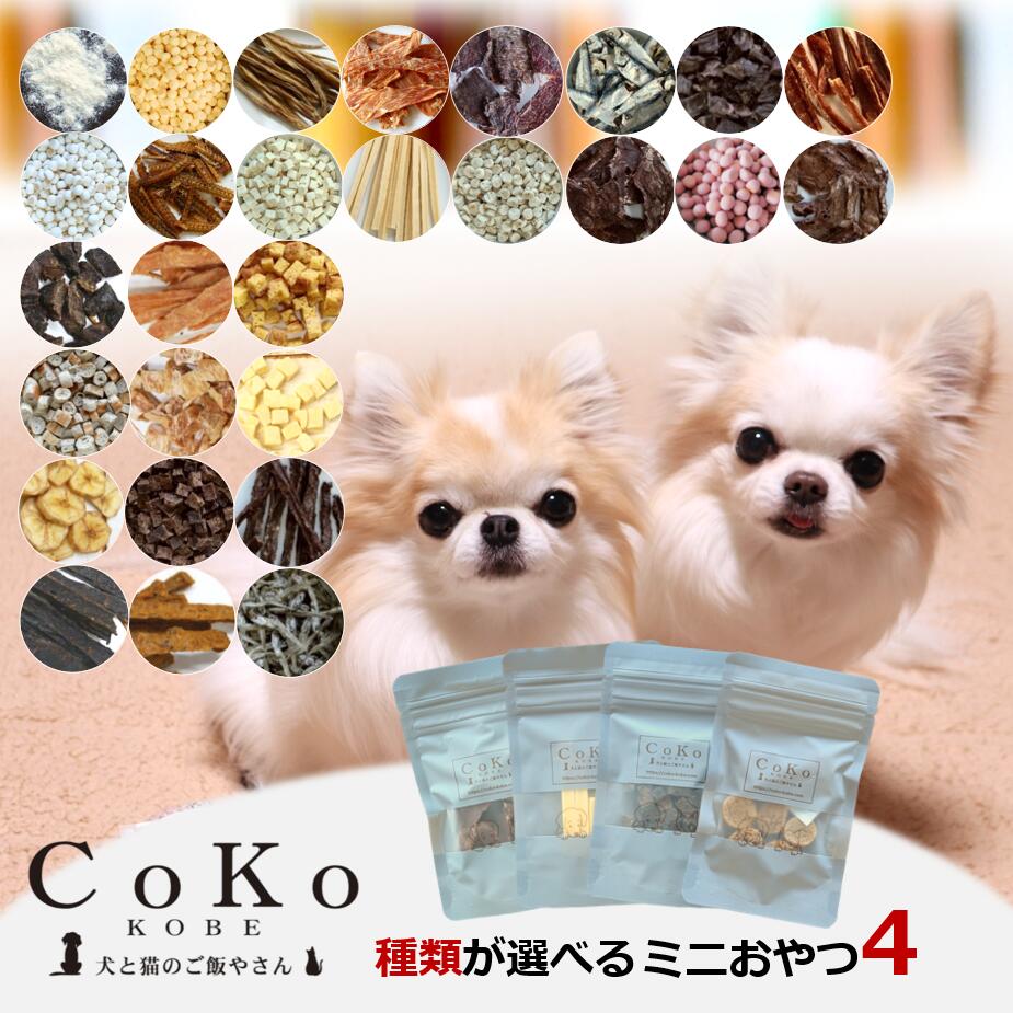 楽天市場】犬 おやつ 無添加 お試し 詰め合わせ 全15種類 送料無料