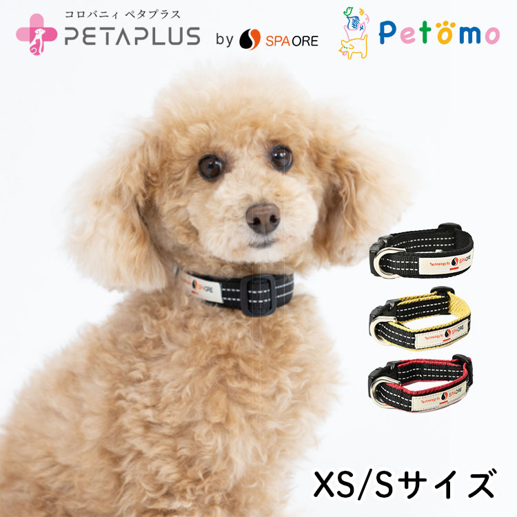 楽天市場】ペタプラス YORISOUカラー 首輪 XS S ドッグウェア