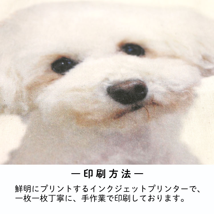 送料無料 オーダーメイド ペット クッション スクエア 愛犬 オリジナル 作成 かわいい おしゃれ ぬいぐるみ ペットグッズ ペット用品 名入れ 名前入り メモリアル 猫 犬 ネコ 写真 ペットの写真 オリジナル グッズ 誕生日 記念日 オーダー プレゼント 贈り物 Sermus Es