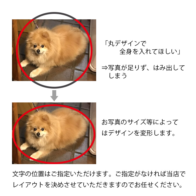 送料無料 オーダーメイド ペット クッション スクエア 愛犬 オリジナル 作成 かわいい おしゃれ ぬいぐるみ ペットグッズ ペット用品 名入れ 名前入り メモリアル 猫 犬 ネコ 写真 ペットの写真 オリジナル グッズ 誕生日 記念日 オーダー プレゼント 贈り物 Sermus Es