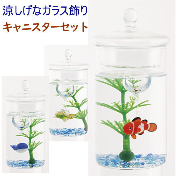 楽天市場 涼しげなガラス製品 キャニスターセット３種夏の飾り お部屋インテリア 父の日ギフト 敬老の日 プレゼント 逸品shopコレコレ