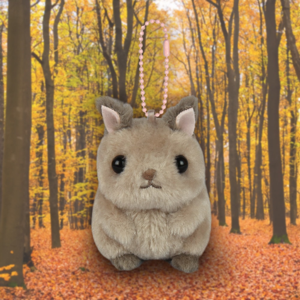 楽天市場】あみゅ まるころリスのころりん LMCきゃめるん マスコット