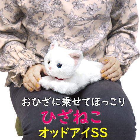 楽天市場】【サンレモン】ぬいぐるみ ひざねこ グレーSSサイズ 楽天市場】【サンレモン】ぬいぐるみ ひざねこ グレーSSサイズ