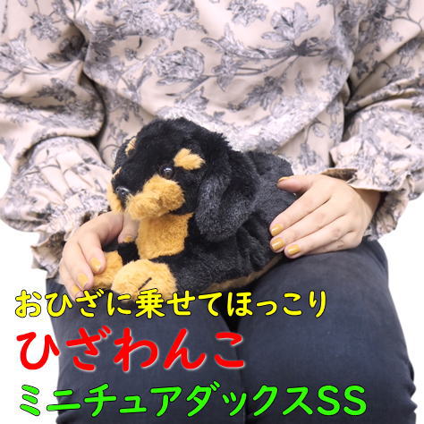 楽天市場】【サンレモン】ぬいぐるみ ひざわんこ チワワSサイズ