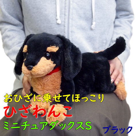 楽天市場】【サンレモン】ぬいぐるみ ひざわんこ チワワSS