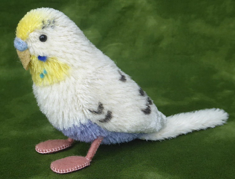 予約販売品 大湖智昭製作セキセイインコ ４色ハルクイン 超目玉 Masmorracine Com Br