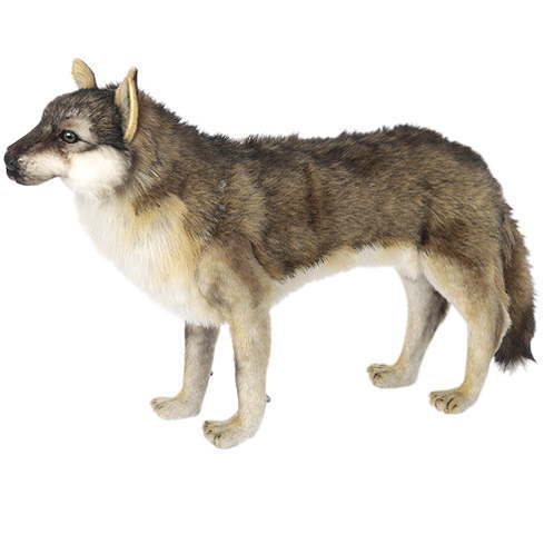 楽天市場】ハンサ【HANSA】リアルぬいぐるみ オオカミ66