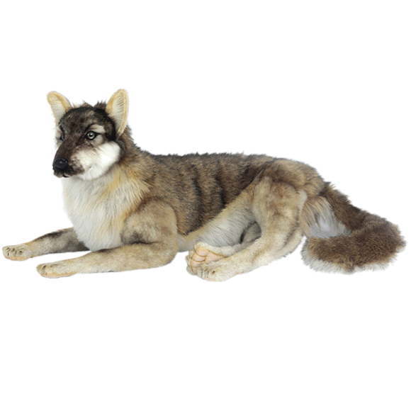 楽天市場】ケーセン ぬいぐるみ kosen オオカミ 立ち 47cm Wolf