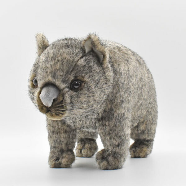 楽天市場】ケーセン ぬいぐるみ kosen ウォンバット 35cm WOMBAT