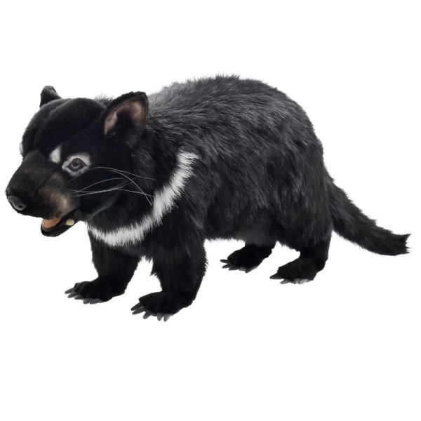 楽天市場】HANSA タスマニアデビル60 L60(cm) 4383 ぬいぐるみ ハンサ