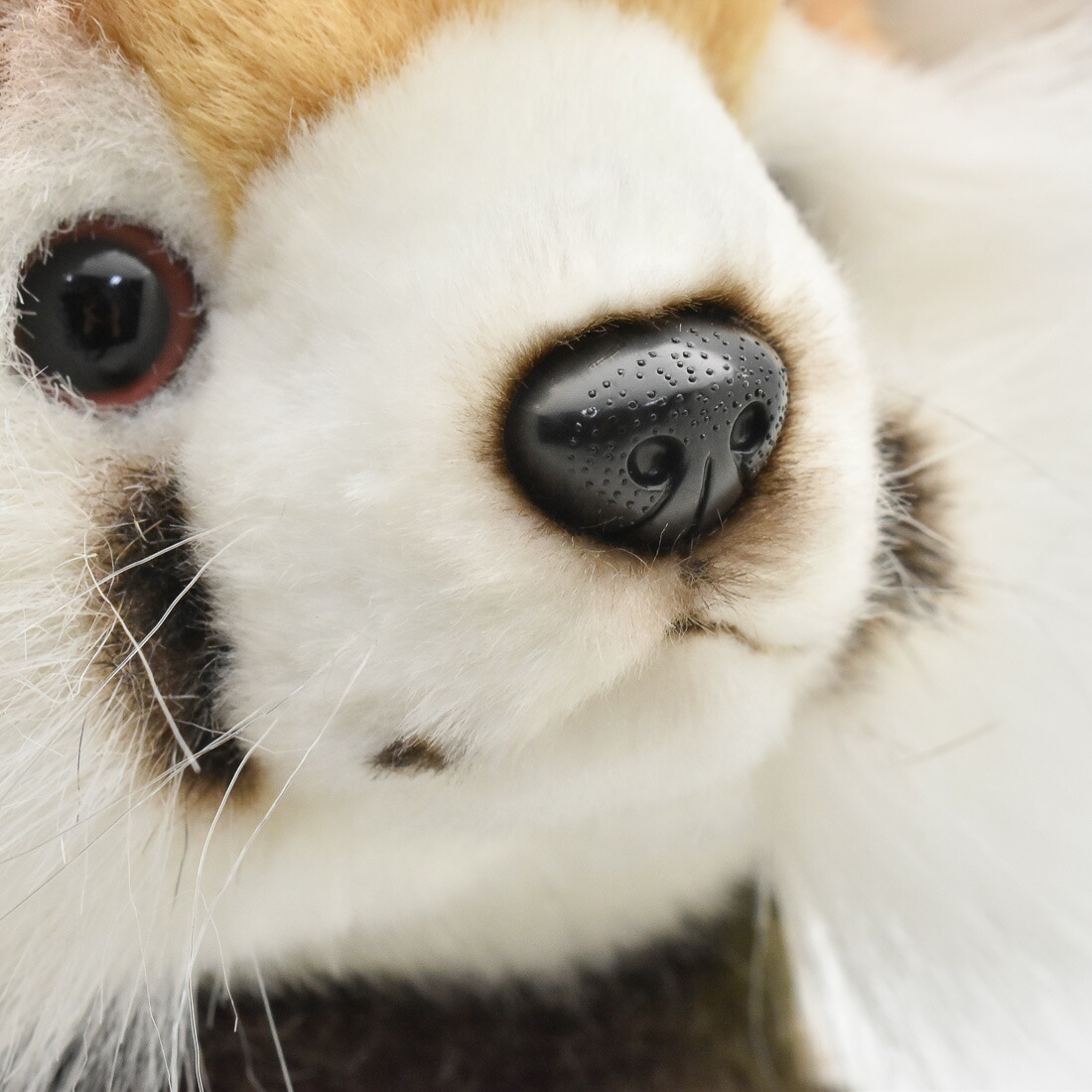 ハンサ ぬいぐるみ ゴルフ フェアウェイウッド用ヘッドカバー レッサーパンダ Lesser Panda Antoniobanderas Me