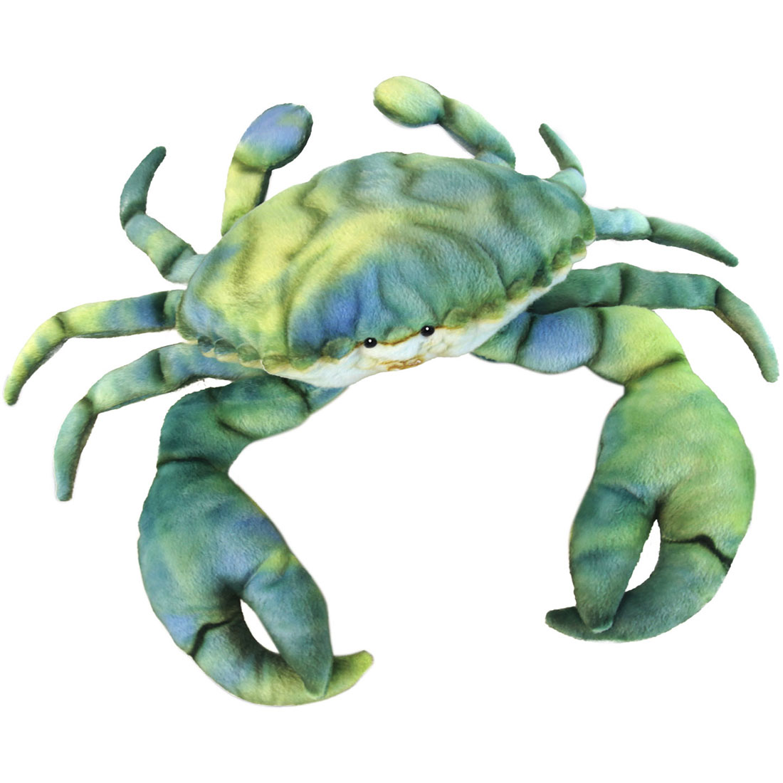 ハンサ【ＨＡＮＳＡ】ぬいぐるみ ノコギリガザミ グリーン 35 MUD CRAB かに 蟹 ドウマンガニ オーストラリア ブランド hansa かわいい 映える 開店祝い 内祝い 誕生日祝い