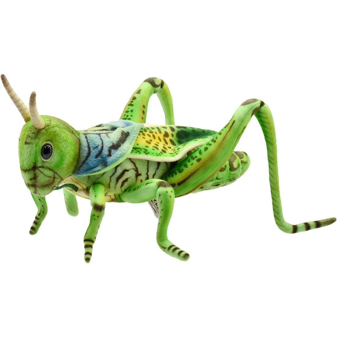 楽天市場】HANSA BH6879 バッタ グリーン 27 GRASSHOPPER 昆虫