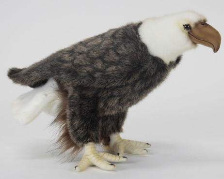 楽天市場】HANSA ハクトウワシ70 L70(cm) 3834 ぬいぐるみ