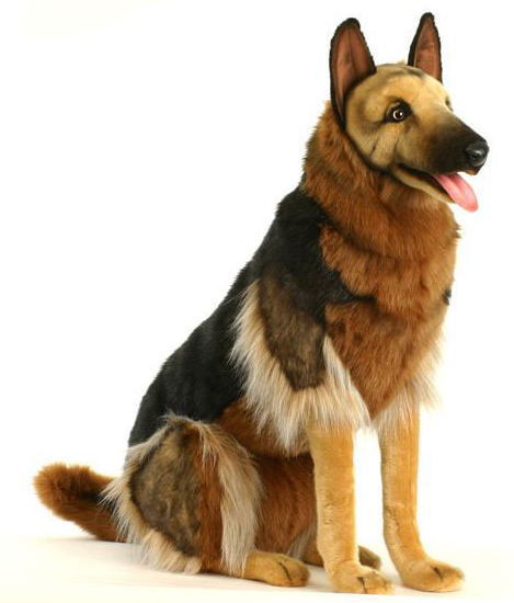 楽天市場】ケーセン ぬいぐるみ kosen ジャーマンシェパード 44cm