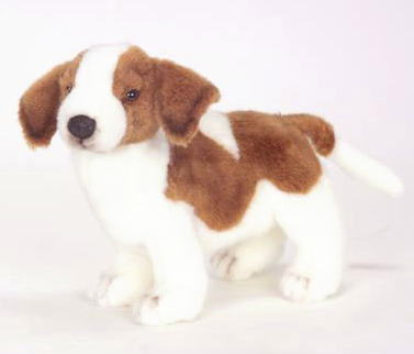 楽天市場】ヨーゼフ Lサイズよーぜふ セントバーナード いぬ 犬