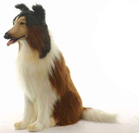 楽天市場】＼平日9時までの注文で即日発送／【HANSA コリー100