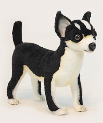 ハンサ ぬいぐるみ チワワ 犬 HANSA HANSA（ぬいぐるみ） 【HANSA チワワ27（ブラック）ぬいぐるみ