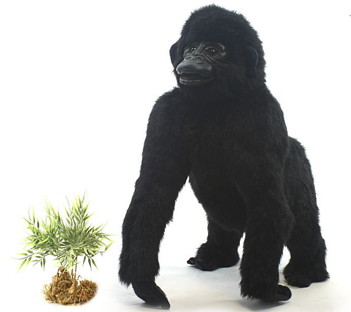 楽天市場】HANSA ハンサ ぬいぐるみ4483 ゴリラ ごりら リアル 動物
