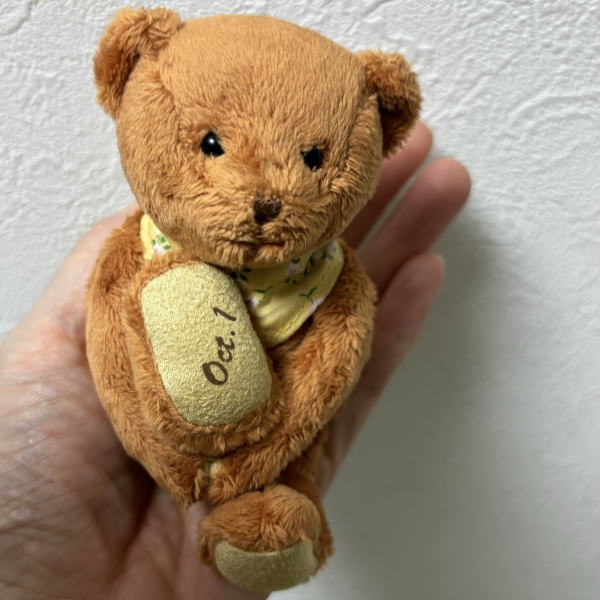 専用【タグ付き未使用！】 フラッフィープラッシー 11月18日