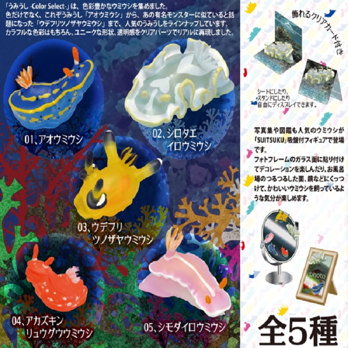楽天市場 送料無料 うみうし カラーセレクト 全5種セット クリックポスト出荷 Collection Landscape